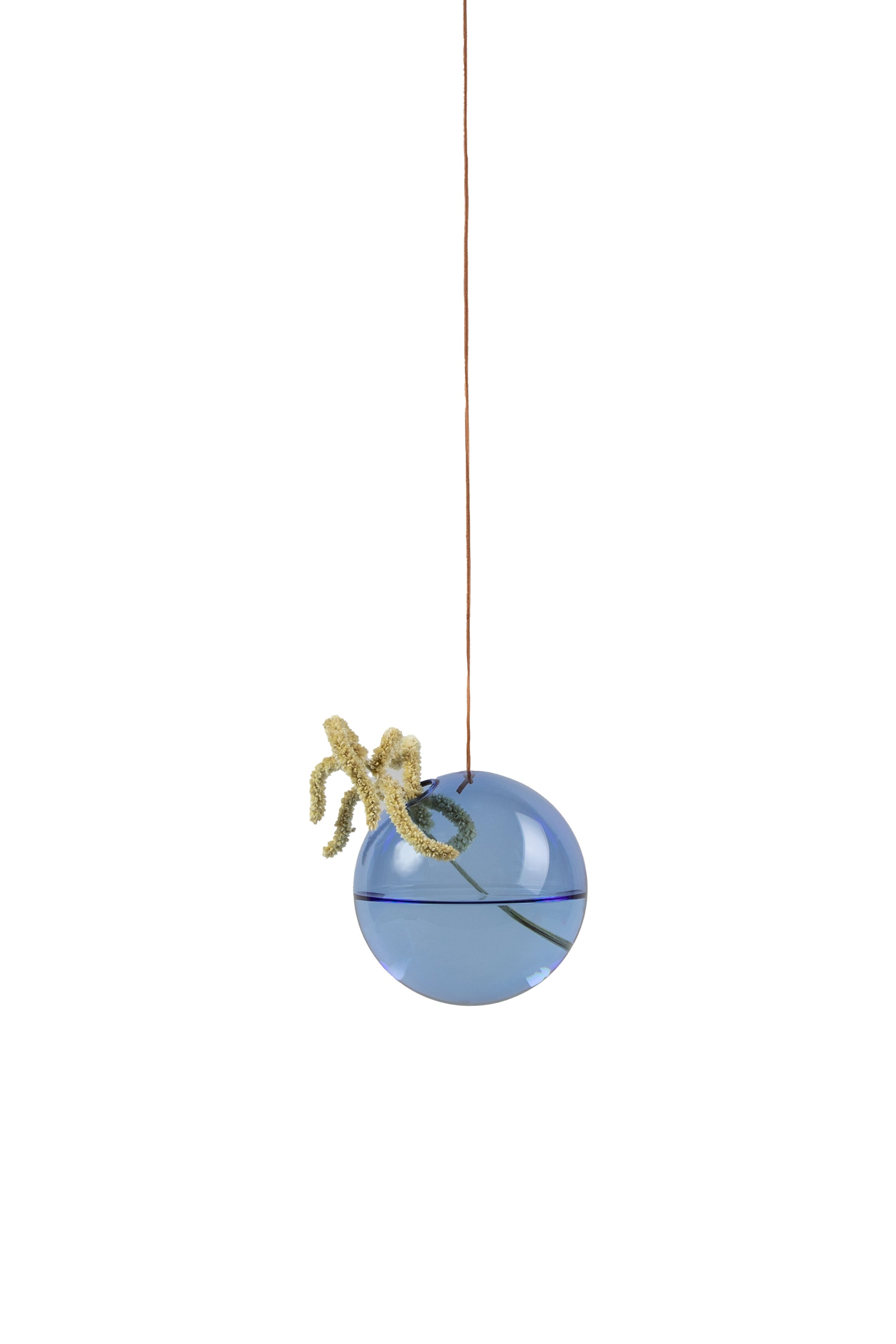 Studio om hängande blommebubblan vasmedium, blå